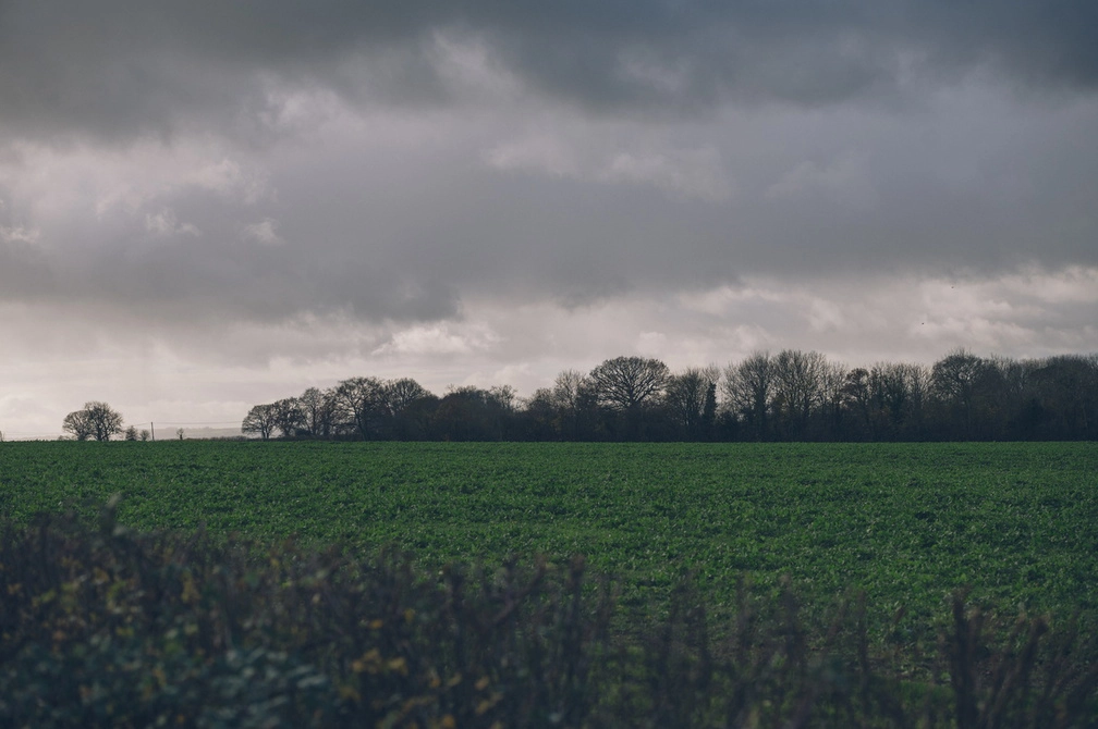 Farmland with a grey sky in the background